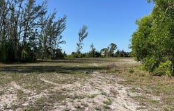 3909 NE 9th Avenue, Cape Coral, FL 33909