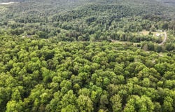 0196 ROUTE 487, Lopez, PA 18628