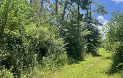 TBD Hollis Lane, Prentiss, MS 39474