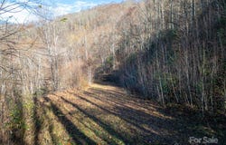 1098 Hyacinth Drive, Clyde, NC 28721