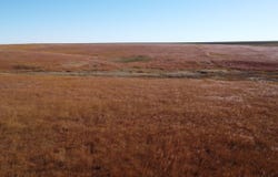 001 County Road, Wallace, KS 67761