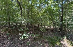 0 Greenwood Drive, Hillsboro, MO 63050