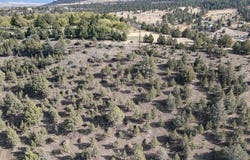 4008 Patterson Dr., Canyon City, OR 97820