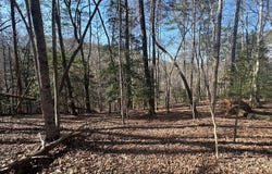 Lt10&11r Villa Drive, Ellijay, GA 30540