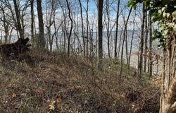 0 WELLINGTON, KING GEORGE, VA 22485