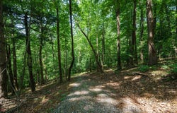 Hendren Road, Moravian Falls, NC 28654