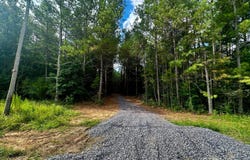 00 CO RD 54, PARCEL #2, Haleyville, AL 35565