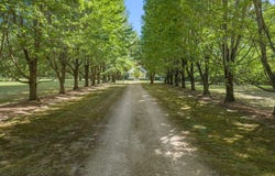 762 Chesapeake Drive, WHITE STONE, VA 22578