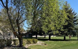 105 Garden Drive unit: D, Kalispell, MT 59901