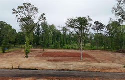 Tbd Private Road 1111, Diana, TX 75640