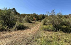 W Junior Road, Junior, WV 26275