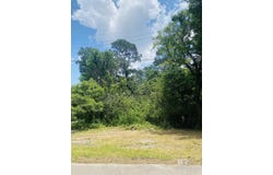 421 W Foch Street, Mobile, AL 36610