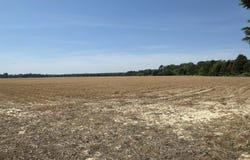 101 N Shore Drive, Merry Hill, NC 27957