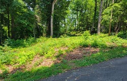 Fox Fire Road, Central, SC 29630