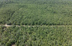 10 AC 185TH RD, Live Oak, FL 32060