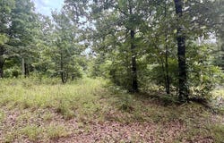 100 Kayleigh Lane, Imboden, AR 72434
