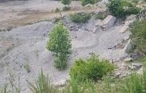 29423  HWY 123, Western Grove, AR 72685