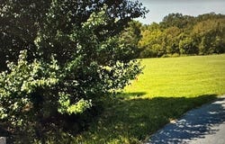 16 Riverbluff, Summerville, GA 30747