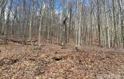 Hamlin Lane, Mars Hill, NC 28754