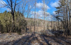 702 East Street, Oneonta, NY 13820