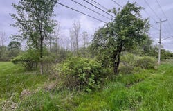 5680  Thompson Road, Clarence Center, NY 14032