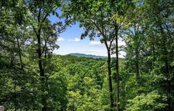 364 Bice LN, Blue Ridge, GA 30513