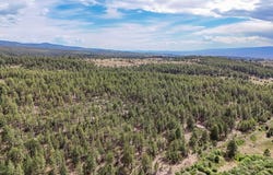 Forest Service Road 639, Truchas, NM 87578