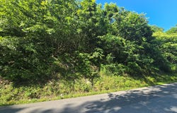 Tbd Dry Fork Road, Cedar Bluff, VA 24609