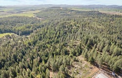 12703 S Alpine Fern Ln, Rockford, WA 99030