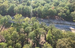 3226 Shadow Pine Drive, Larue, TX 75770