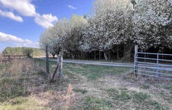 64 Acres County Road 463, Section, AL 35771