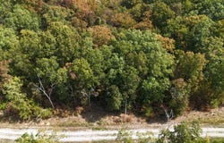 Sandstone Point lot: 95, Monticello, KY 42633