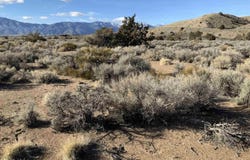 1290 Jo Lane, Gardnerville, NV 89410