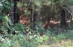 0 Amanda Court, Greenville, GA 30222