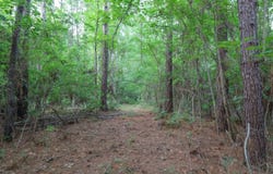 TBD Childress Rd., Grayson, LA 71435