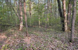 000 PAR-KING DRIVE, BELLAIRE, MI 49615