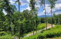 1705 Old Northcutt, Ellijay, GA 30540