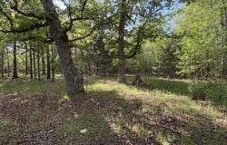 1100 Marriott Road, Pocahontas, AR 72455