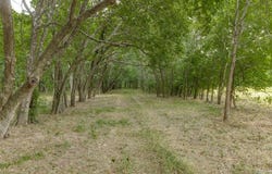 3805 County Road 3805, Wolfe City, TX 75496
