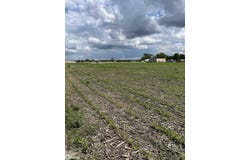 N Front Street, Humeston, IA 50123