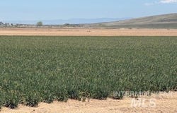 S Robinson Rd., Kuna, ID 83634