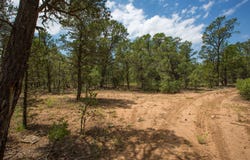 70 Anaya Road, Tijeras, NM 87059