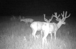 00 County Rd, Lakin, KS 66630