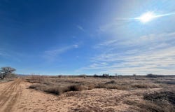 Bravo Farms, La Joya, NM 87028