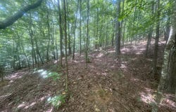Lot 36 Hampton Farms Trail, Jasper, GA 30143