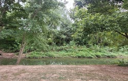 106 White River Run, Guion, AR 72540