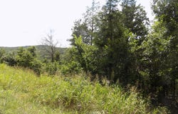 Tbd Cane Creek Road, Kissee Mills, MO 65680