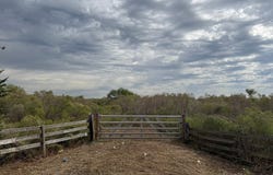 Texas 10 Spur, Rosenberg, TX 77471