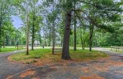 9325 Interlachen Road, Lake Shore, MN 56468