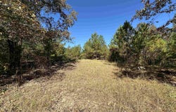 COUNTY ROAD 483 lot: 0, VINCENT, AL 35178